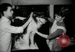 Immagine di Dog show New York United States USA, 1966, secondo 18 filmato di repertorio 65675029933