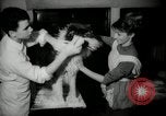 Immagine di Dog show New York United States USA, 1966, secondo 20 filmato di repertorio 65675029933