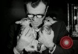 Immagine di Dog show New York United States USA, 1966, secondo 26 filmato di repertorio 65675029933