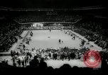 Immagine di Dog show New York United States USA, 1966, secondo 41 filmato di repertorio 65675029933