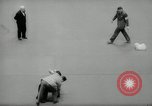 Immagine di Dog show New York United States USA, 1966, secondo 46 filmato di repertorio 65675029933