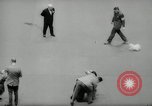 Immagine di Dog show New York United States USA, 1966, secondo 47 filmato di repertorio 65675029933