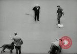 Immagine di Dog show New York United States USA, 1966, secondo 48 filmato di repertorio 65675029933