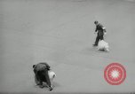 Immagine di Dog show New York United States USA, 1966, secondo 50 filmato di repertorio 65675029933