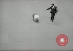 Immagine di Dog show New York United States USA, 1966, secondo 53 filmato di repertorio 65675029933