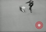 Immagine di Dog show New York United States USA, 1966, secondo 54 filmato di repertorio 65675029933