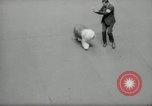 Immagine di Dog show New York United States USA, 1966, secondo 55 filmato di repertorio 65675029933