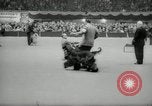 Immagine di Dog show New York United States USA, 1966, secondo 57 filmato di repertorio 65675029933