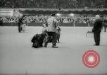 Immagine di Dog show New York United States USA, 1966, secondo 58 filmato di repertorio 65675029933