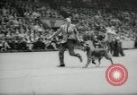 Immagine di Dog show New York United States USA, 1966, secondo 59 filmato di repertorio 65675029933