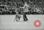 Immagine di Dog show New York United States USA, 1966, secondo 61 filmato di repertorio 65675029933