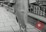 Standbild Heinz Riva's Winter Kollektion Rom Italien, 1967, aus Sekunde 41 historischem Filmmaterial Videoclip 65675029938