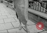Standbild Heinz Riva's Winter Kollektion Rom Italien, 1967, aus Sekunde 42 historischem Filmmaterial Videoclip 65675029938