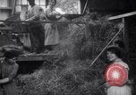 Image of chaff cut United Kingdom, 1915, second 6 stock footage video 65675029964