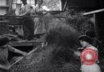 Image of chaff cut United Kingdom, 1915, second 7 stock footage video 65675029964