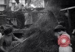 Image of chaff cut United Kingdom, 1915, second 8 stock footage video 65675029964