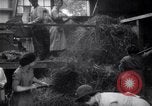 Image of chaff cut United Kingdom, 1915, second 9 stock footage video 65675029964