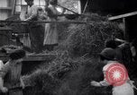 Image of chaff cut United Kingdom, 1915, second 10 stock footage video 65675029964