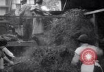 Image of chaff cut United Kingdom, 1915, second 13 stock footage video 65675029964