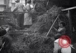 Image of chaff cut United Kingdom, 1915, second 14 stock footage video 65675029964