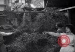 Image of chaff cut United Kingdom, 1915, second 16 stock footage video 65675029964