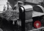 Image of chaff cut United Kingdom, 1915, second 20 stock footage video 65675029964