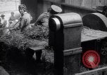 Image of chaff cut United Kingdom, 1915, second 22 stock footage video 65675029964