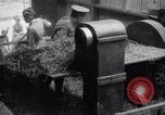 Image of chaff cut United Kingdom, 1915, second 24 stock footage video 65675029964