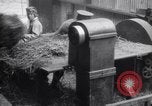 Image of chaff cut United Kingdom, 1915, second 28 stock footage video 65675029964