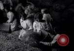 Image of chaff cut United Kingdom, 1915, second 29 stock footage video 65675029964