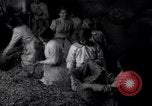 Image of chaff cut United Kingdom, 1915, second 33 stock footage video 65675029964