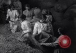 Image of chaff cut United Kingdom, 1915, second 34 stock footage video 65675029964