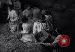 Image of chaff cut United Kingdom, 1915, second 35 stock footage video 65675029964