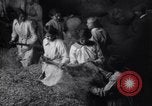 Image of chaff cut United Kingdom, 1915, second 38 stock footage video 65675029964