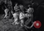 Image of chaff cut United Kingdom, 1915, second 39 stock footage video 65675029964
