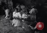 Image of chaff cut United Kingdom, 1915, second 40 stock footage video 65675029964
