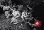 Image of chaff cut United Kingdom, 1915, second 42 stock footage video 65675029964