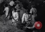 Image of chaff cut United Kingdom, 1915, second 44 stock footage video 65675029964