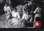 Image of chaff cut United Kingdom, 1915, second 46 stock footage video 65675029964