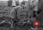 Image of women plough Surrey England United Kingdom, 1915, second 8 stock footage video 65675029966