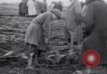 Image of women plough Surrey England United Kingdom, 1915, second 9 stock footage video 65675029966