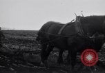 Image of women plough Surrey England United Kingdom, 1915, second 15 stock footage video 65675029966