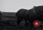 Image of women plough Surrey England United Kingdom, 1915, second 16 stock footage video 65675029966