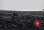 Image of women plough Surrey England United Kingdom, 1915, second 20 stock footage video 65675029966