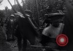 Image of hoppers of kent Kent England United Kingdom, 1915, second 8 stock footage video 65675029967