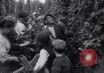 Image of hoppers of kent Kent England United Kingdom, 1915, second 12 stock footage video 65675029967