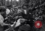 Image of hoppers of kent Kent England United Kingdom, 1915, second 14 stock footage video 65675029967