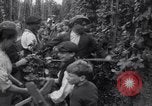 Image of hoppers of kent Kent England United Kingdom, 1915, second 15 stock footage video 65675029967