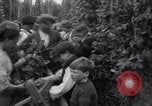 Image of hoppers of kent Kent England United Kingdom, 1915, second 16 stock footage video 65675029967