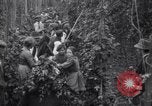 Image of hoppers of kent Kent England United Kingdom, 1915, second 17 stock footage video 65675029967